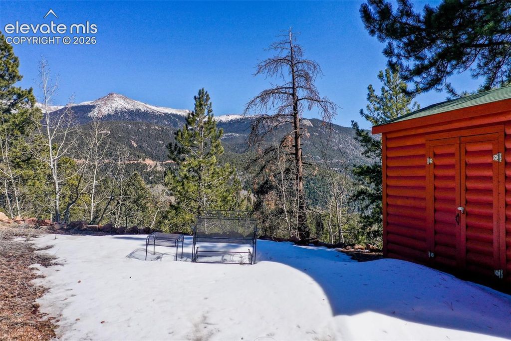 493 Horseshoe Drive, Divide, CO 80814 — photo 3