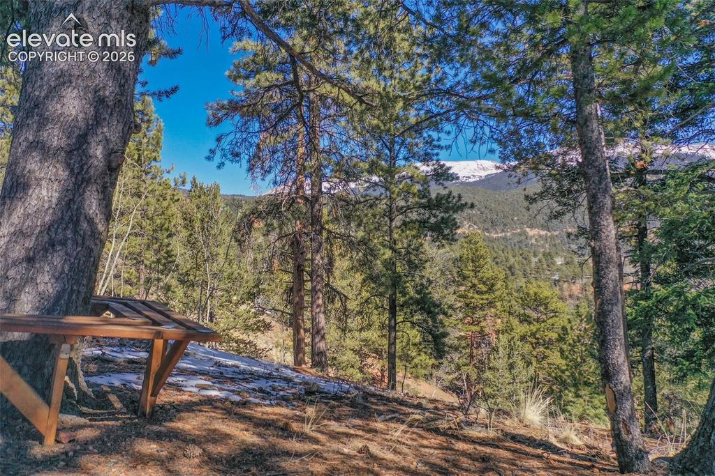 493 Horseshoe Drive, Divide, CO 80814 — photo 5