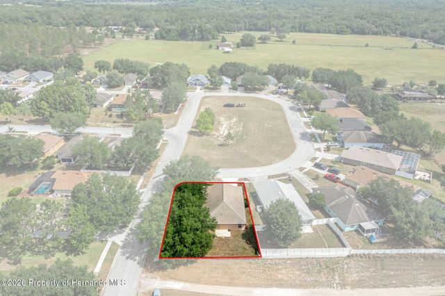 7228 Crested Orchid Drive, Brooksville, FL 34602