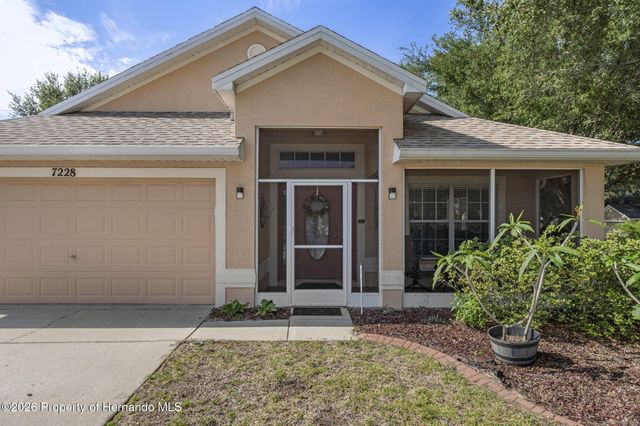 7228 Crested Orchid Drive, Brooksville, FL 34602