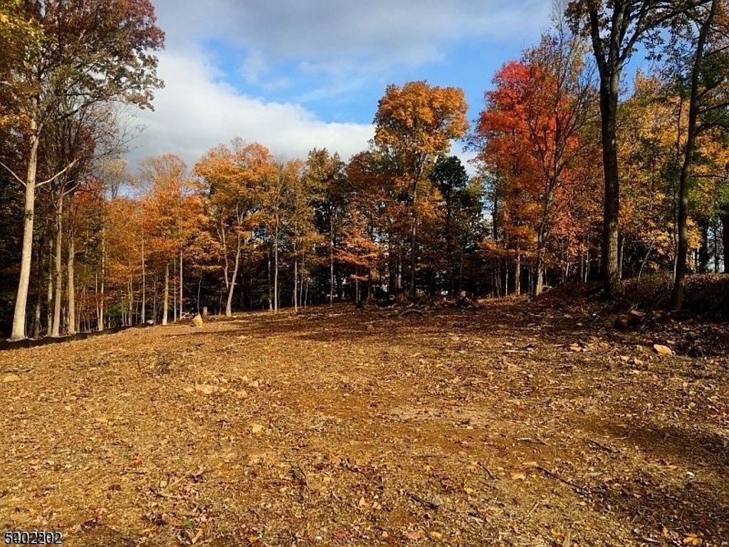 118 Old Stirling Rd, Warren Twp., NJ 07059