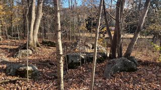 1 Adams RD, Watertown, TN 37184