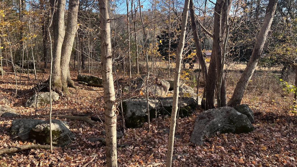 1 Adams RD, Watertown, TN 37184