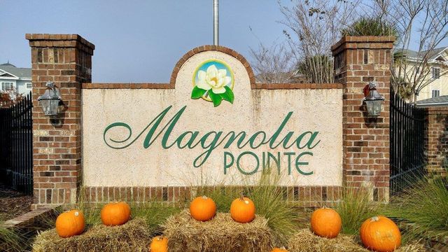 4894 Luster Leaf Cir Apt 403, Myrtle Beach, SC 29577