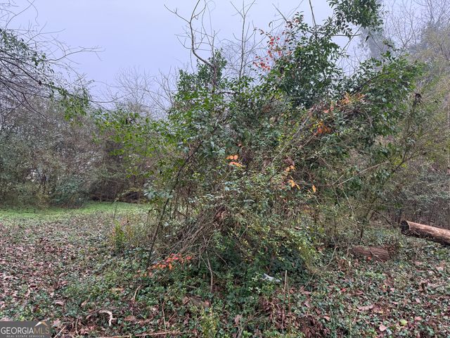 628 M L King Street, Greenville, GA 30222