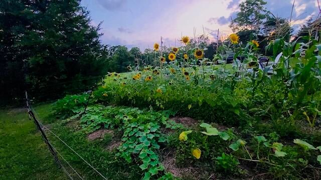 528 Indian Creek Road, Harrodsburg, KY 40330