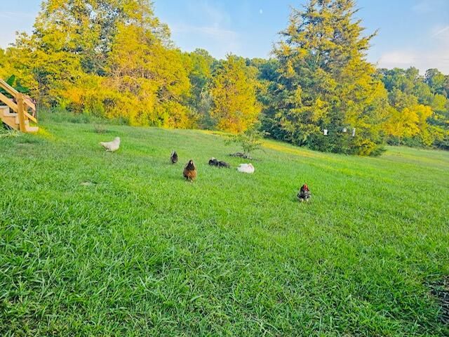 528 Indian Creek Road, Harrodsburg, KY 40330