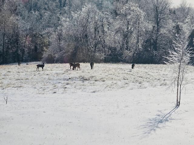 528 Indian Creek Road, Harrodsburg, KY 40330