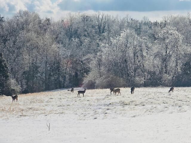 528 Indian Creek Road, Harrodsburg, KY 40330