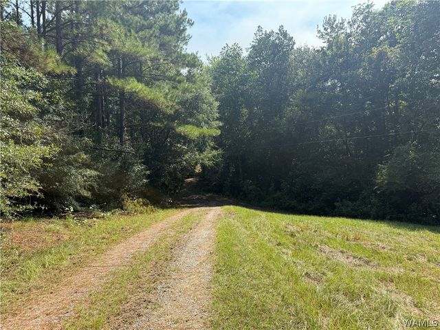 13585 Fondren Road, Northport, AL 35475
