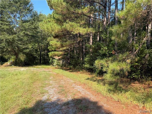 13585 Fondren Road, Northport, AL 35475