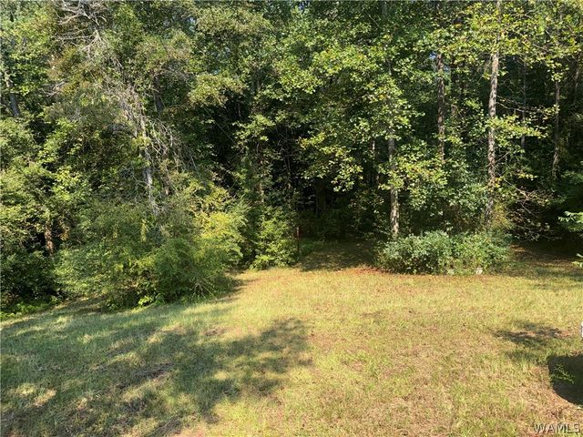 13585 Fondren Road, Northport, AL 35475