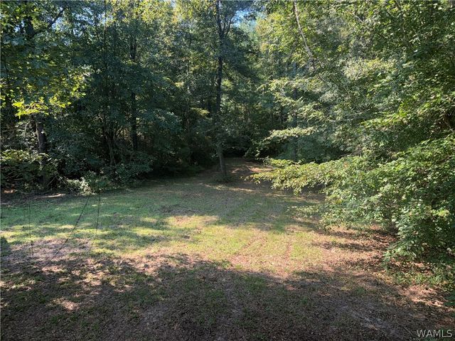 13585 Fondren Road, Northport, AL 35475