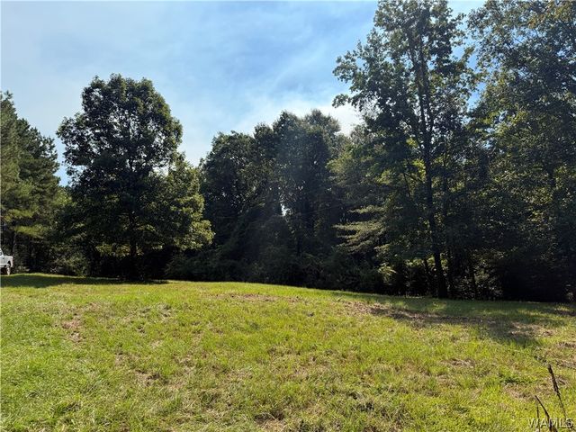 13585 Fondren Road, Northport, AL 35475