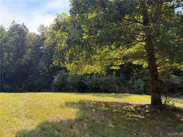 13585 Fondren Road, Northport, AL 35475
