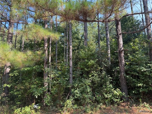 13585 Fondren Road, Northport, AL 35475