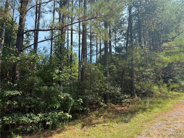 13585 Fondren Road, Northport, AL 35475
