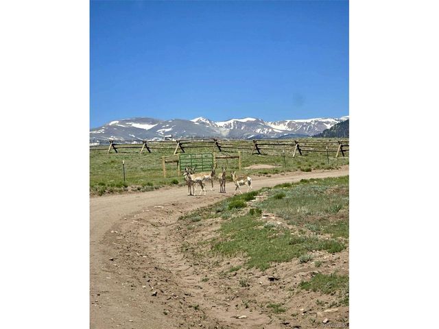 5675 Antero Dr, Fairplay, CO 80440