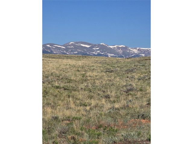 5675 Antero Dr, Fairplay, CO 80440