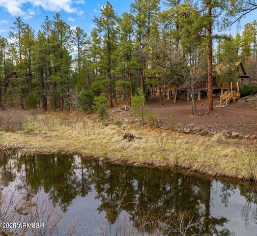 571 W PINE SHADOW Drive, Lakeside, AZ 85929