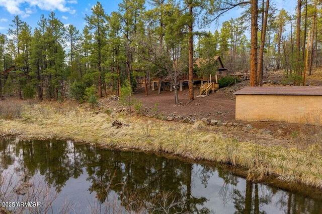 571 W PINE SHADOW Drive, Lakeside, AZ 85929