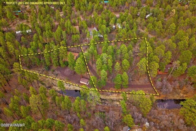 571 W PINE SHADOW Drive, Lakeside, AZ 85929