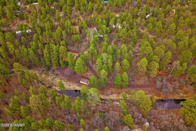 571 W PINE SHADOW Drive, Lakeside, AZ 85929