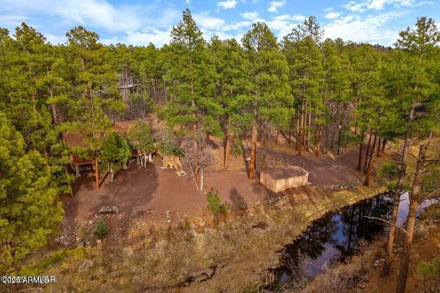 571 W PINE SHADOW Drive, Lakeside, AZ 85929