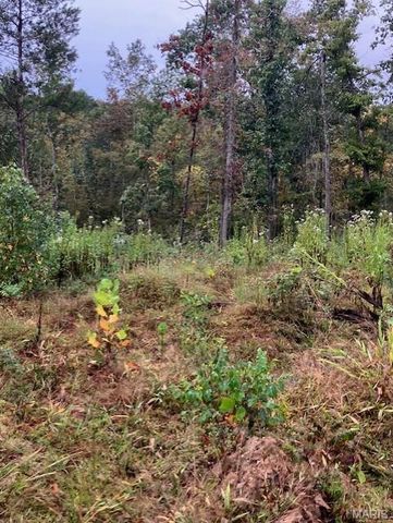 196 Madison CR 410, Fredericktown, MO 63645