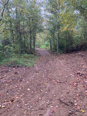 196 Madison CR 410, Fredericktown, MO 63645