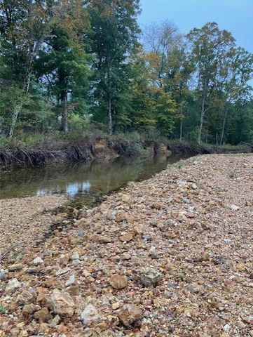 196 Madison CR 410, Fredericktown, MO 63645