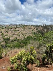 98-1040 Kaamilo Street C, Aiea, HI 96701