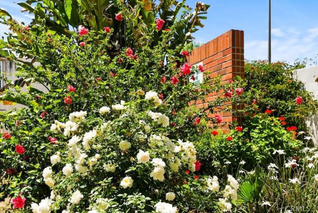 18620 Hatteras Street 223, Tarzana, CA 91356