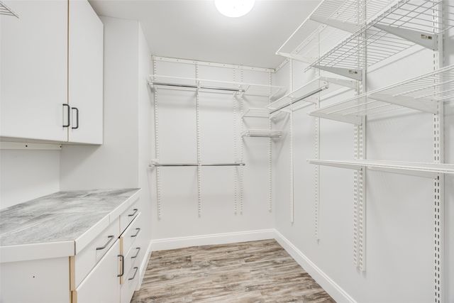 3919 Winter Park Lane, Addison, TX 75001