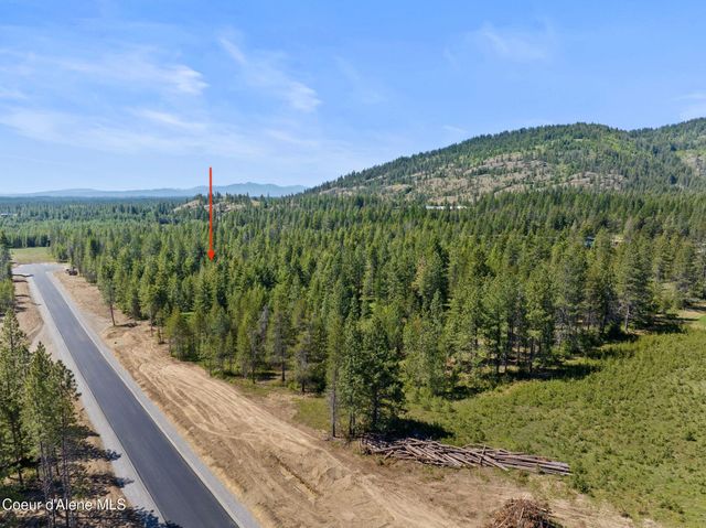 5 W Ellington Ct, Athol, ID 83801