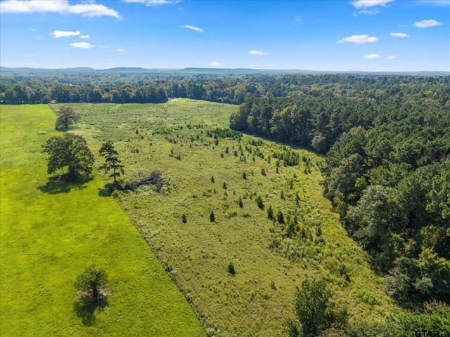 1663 CR 4510, Pittsburg, TX 75686