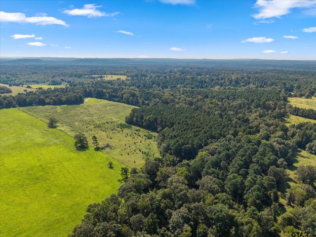 1663 CR 4510, Pittsburg, TX 75686