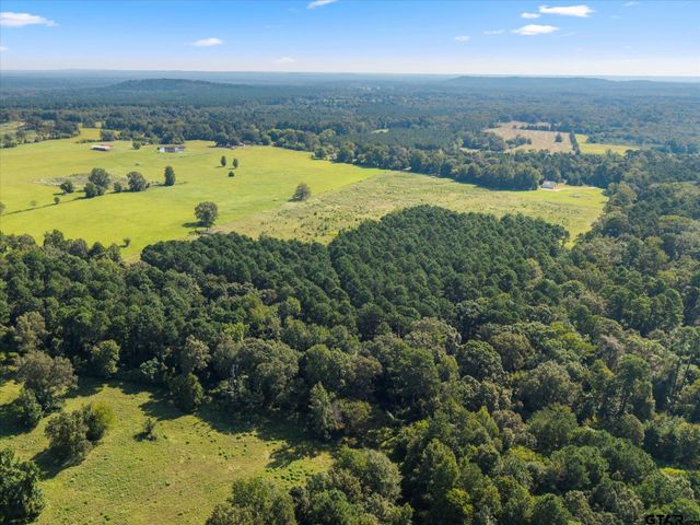 1663 CR 4510, Pittsburg, TX 75686