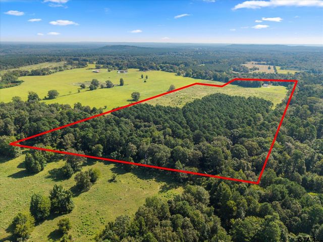 1663 CR 4510, Pittsburg, TX 75686