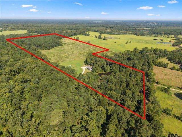 1663 CR 4510, Pittsburg, TX 75686