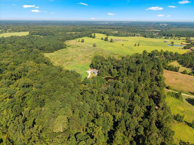 1663 CR 4510, Pittsburg, TX 75686