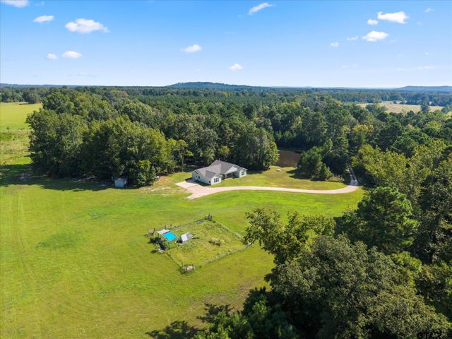 1663 CR 4510, Pittsburg, TX 75686