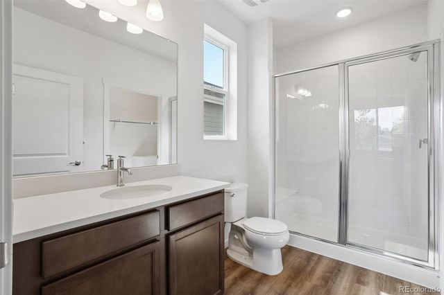 1460 Boyle Street, Windsor, CO 80550