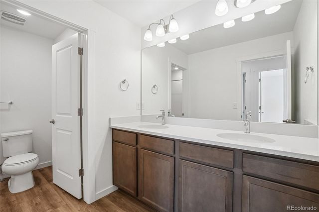 1460 Boyle Street, Windsor, CO 80550