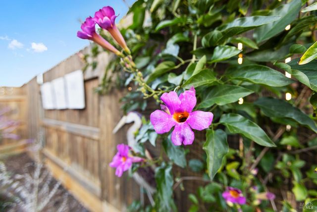 2080 Revival Ln, Rio Vista, CA 94571