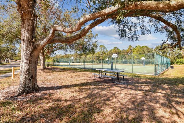 11903 STEPPINGSTONE BOULEVARD, Tampa, FL 33635