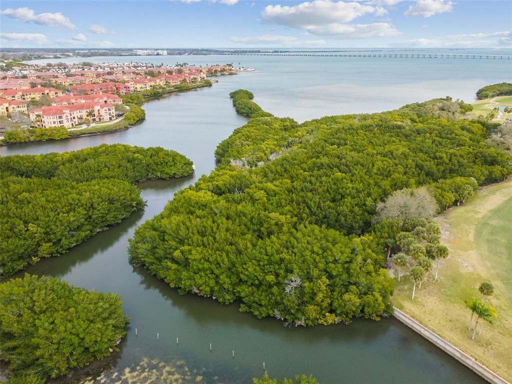 Image 59 of property listing at 2621 COVE CAY DRIVE 703, Clearwater, FL 33760