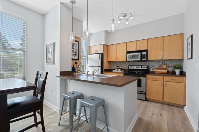 1201 Grove BLVD 2203, Austin, TX 78741