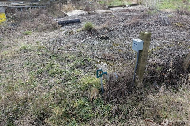 673 Monte Elma Road, Montesano, WA 98563