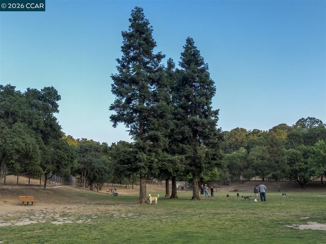 1003 Santa Cruz Dr, Pleasant Hill, CA 94523